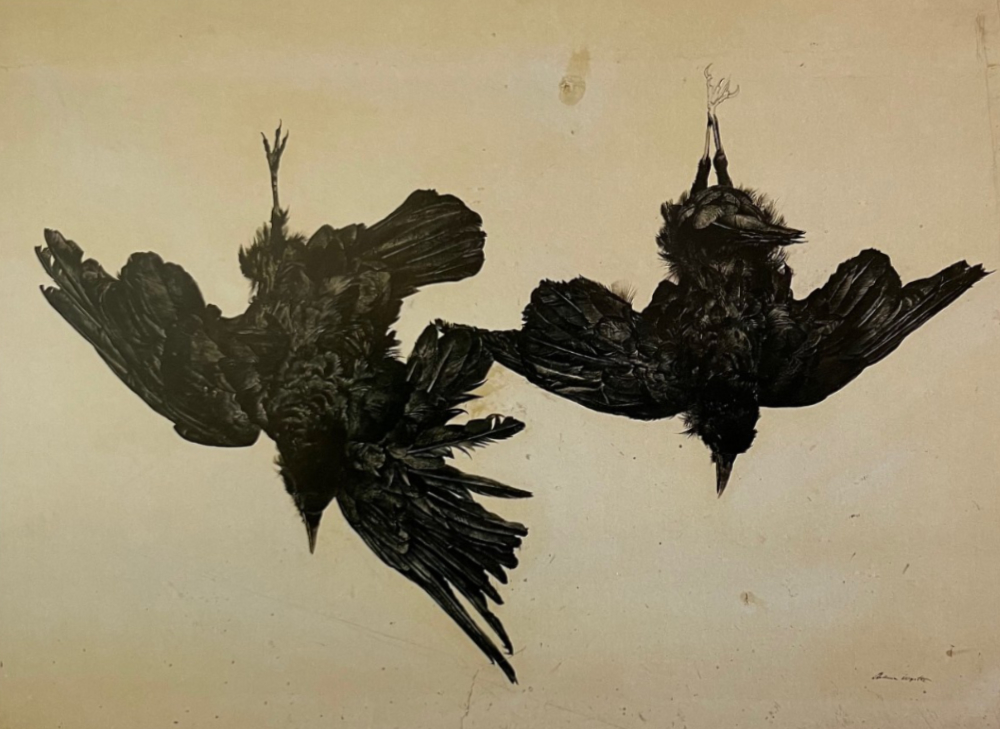 Andrew Wyeth, Crows