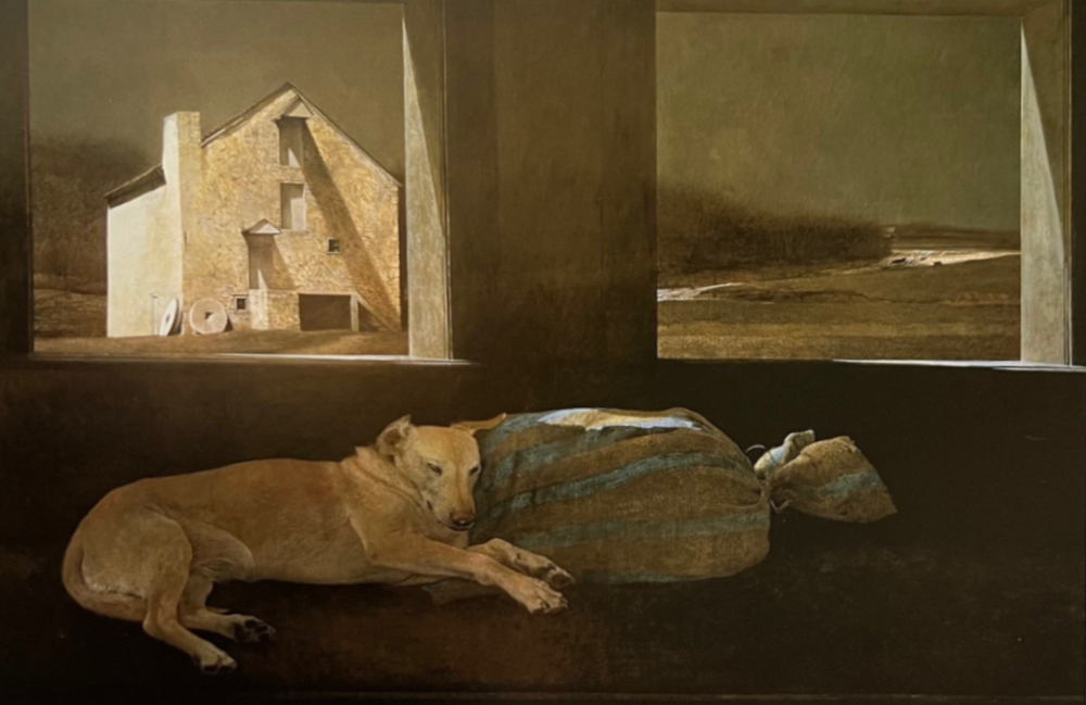 Andrew Wyeth, Night Sleeper
