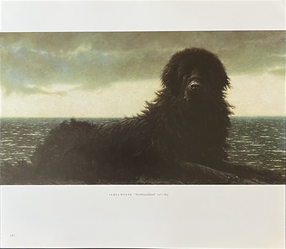 James Wyeth, Newfoundland