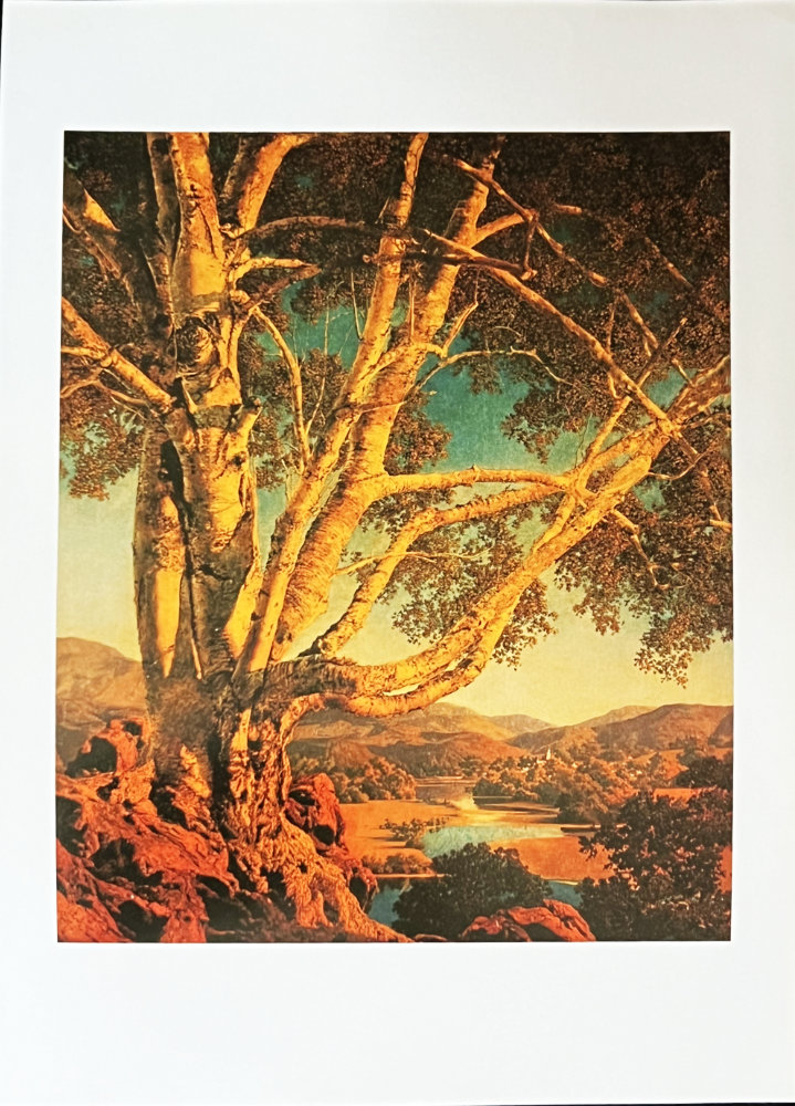 Maxfield Parrish, Old White Birch