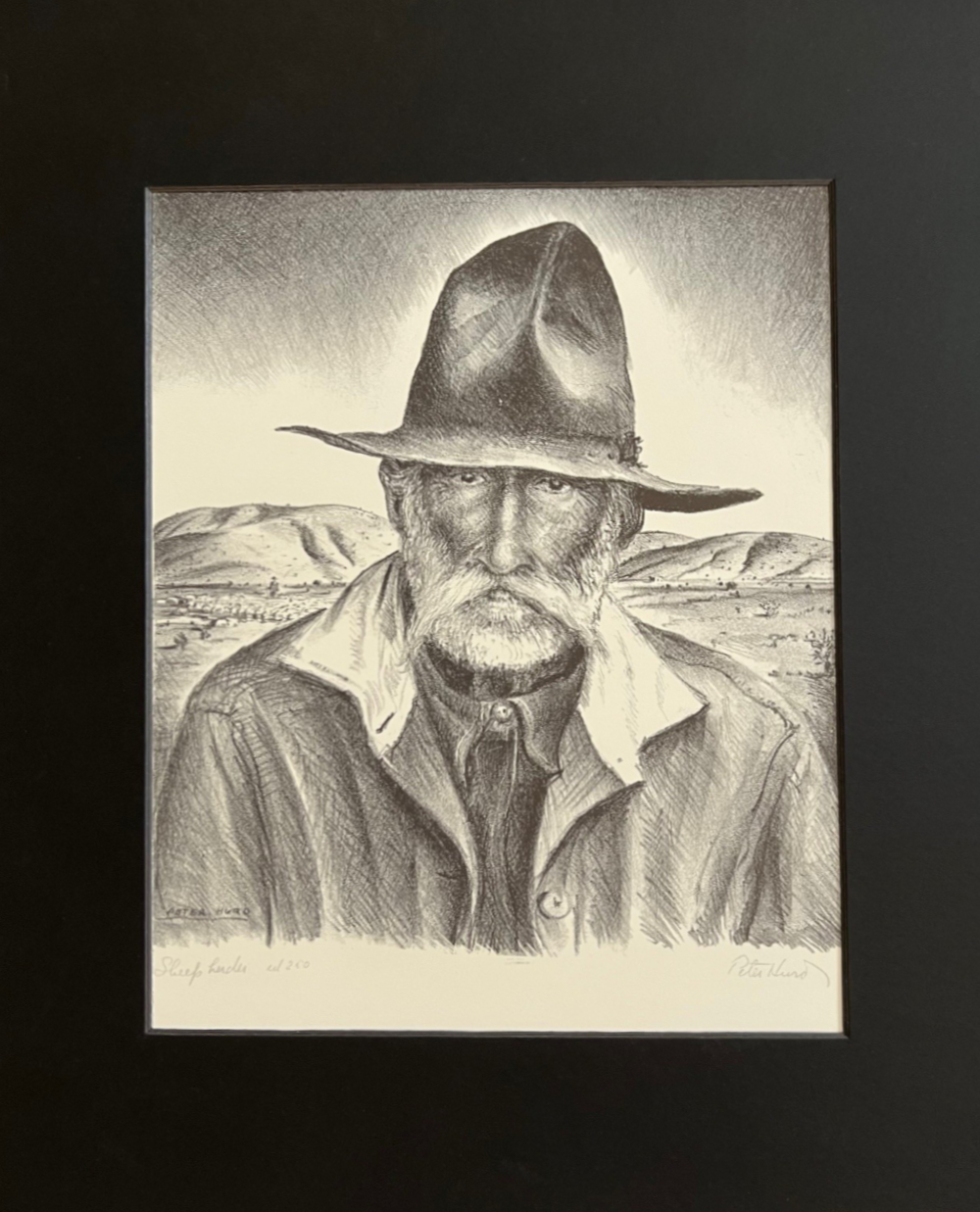 Peter Hurd, Sheepherder